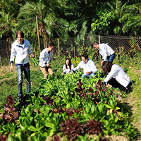 CSR - 2019 DSHK Organic Farm Day